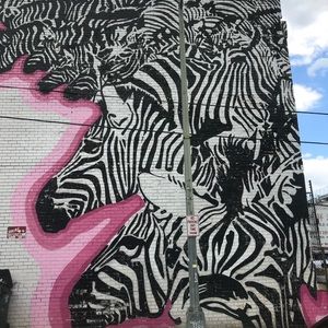 Meet your Posher, Mcneilly